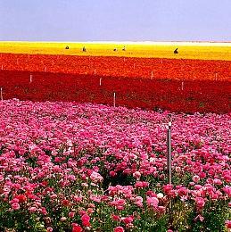 《潜行者2》新开发者日记 战斗和世界设定更多细节