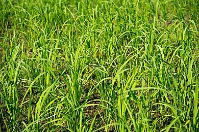 纪念《托尼霍克职业滑板》系列25周年 滑板巨星托尼·霍克正在与动视谈判